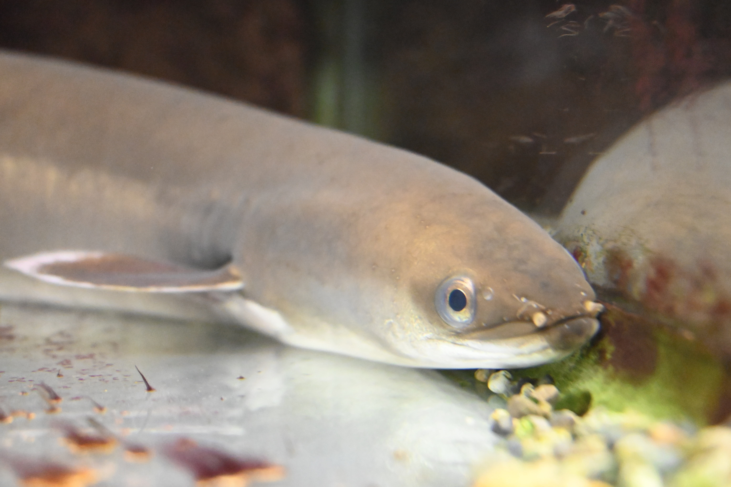 adobestock_834719754.jpg