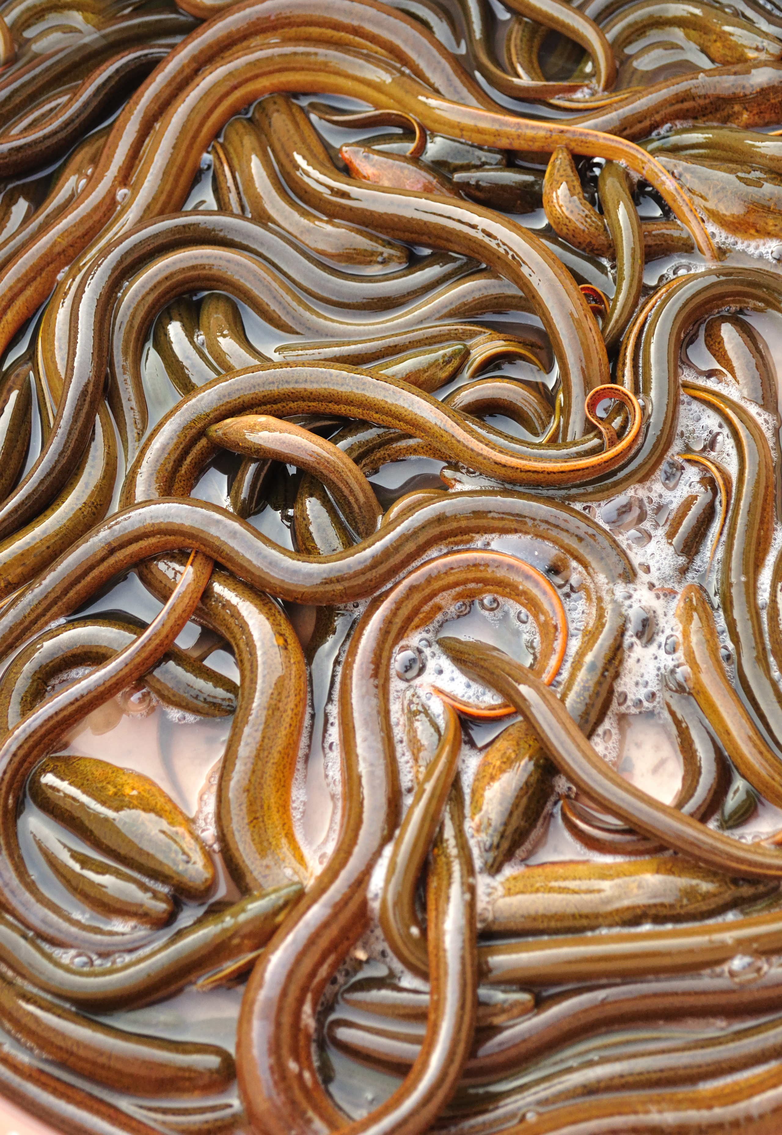 adobestock_62527456.jpg
